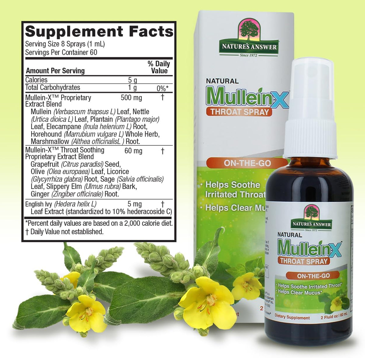 Nature&#39;s Answer Mullein X Throat 2 Ounce Spray - Cough Expectorant, Natural Throat Soothing, Clears Mucus, Gluten Free, Non GMO, Vegetarian, Natural Peppermint Flavor