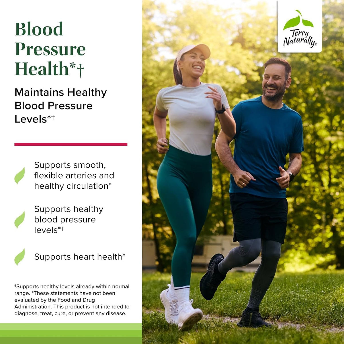 Terry Naturally Blood Pressure Health - Healthy Blood Flow &amp; Circulation Support Supplement - Heart Health Supplement with Antioxidants - Cardiovascular Support - 60 Capsules