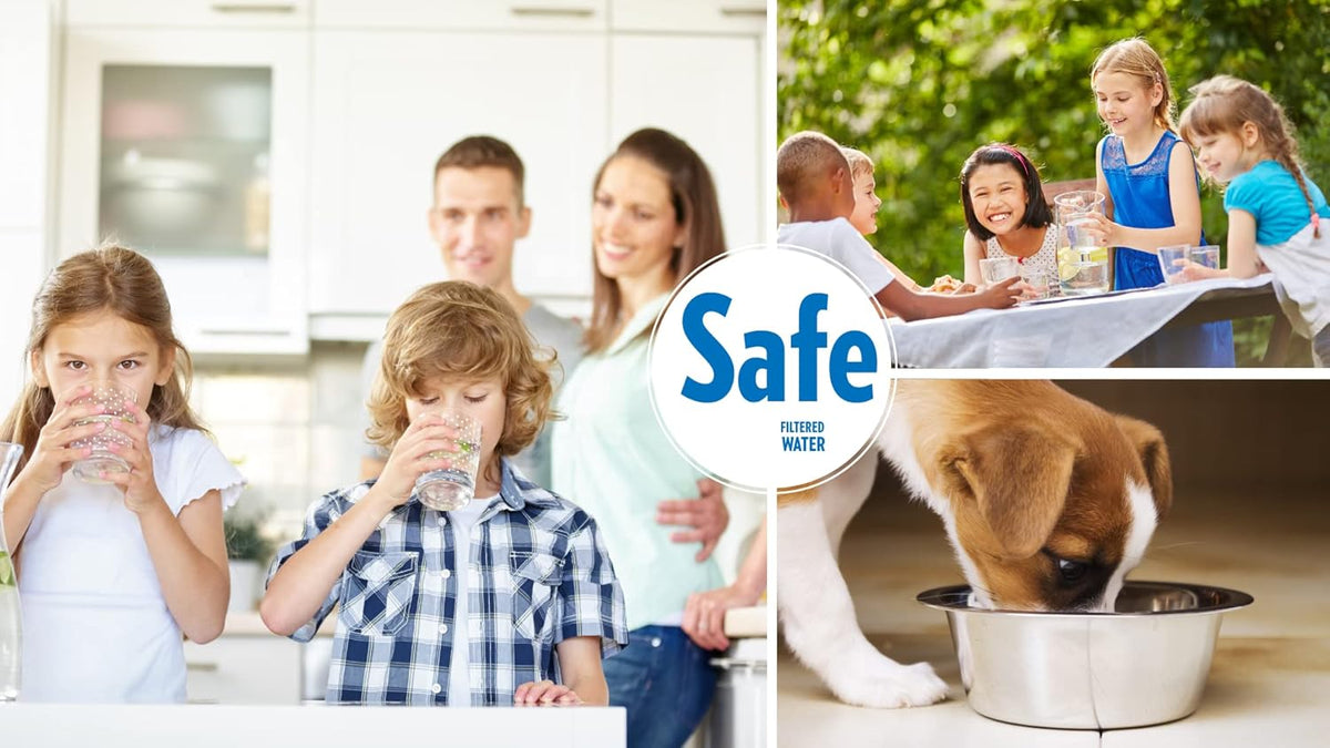 New Wave Enviro 10 Stage Water Filter, 1 Filter