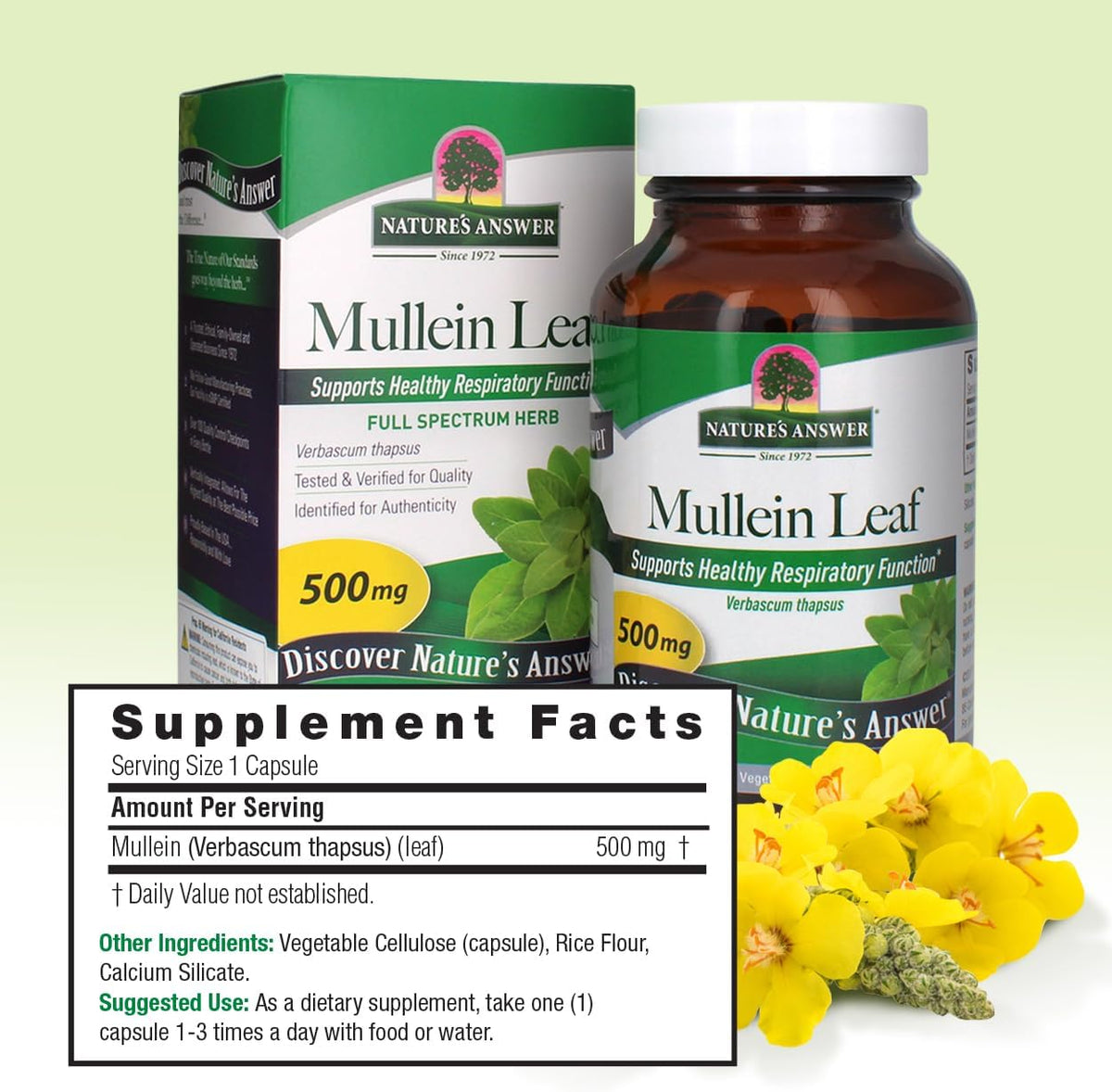Nature&#39;s Answer Mullein Leaf Capsules 90 - Alcohol Free, Vegetarian, Vegan, Gluten Free - Mullein capsuels for Lungs - Supports Respiratory Function &amp; Lung Health