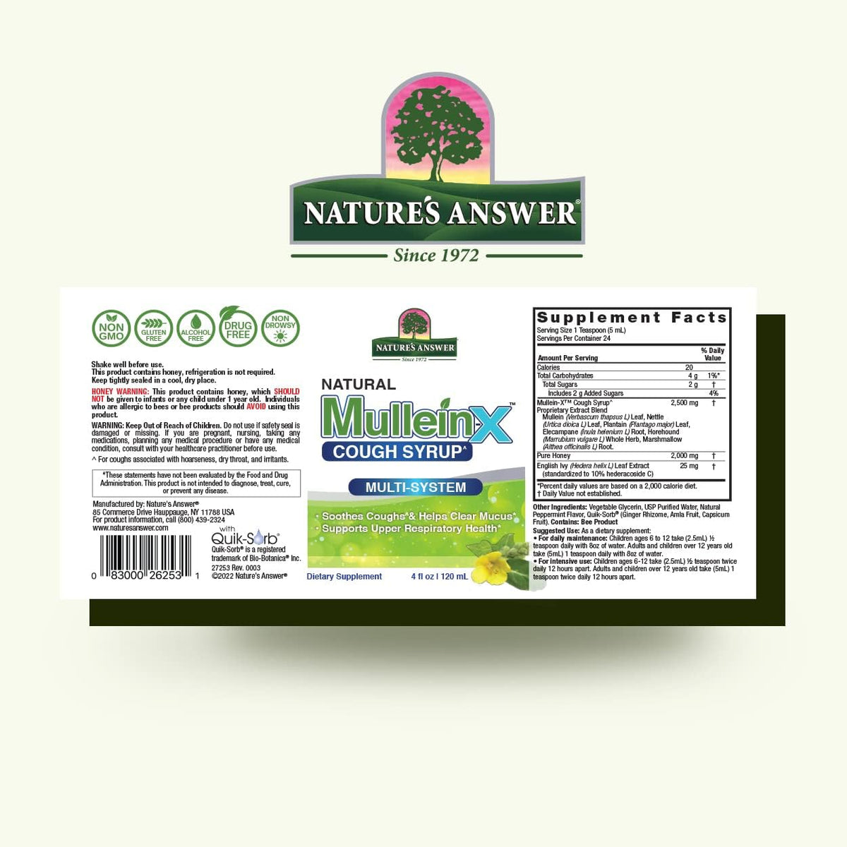 Nature&#39;s Answer Mullein-X Multi System Cough Syrup 4 Ounce | Soothes Coughs &amp; Clears Mucus | Respiratory Support | Non GMO Gluten Free