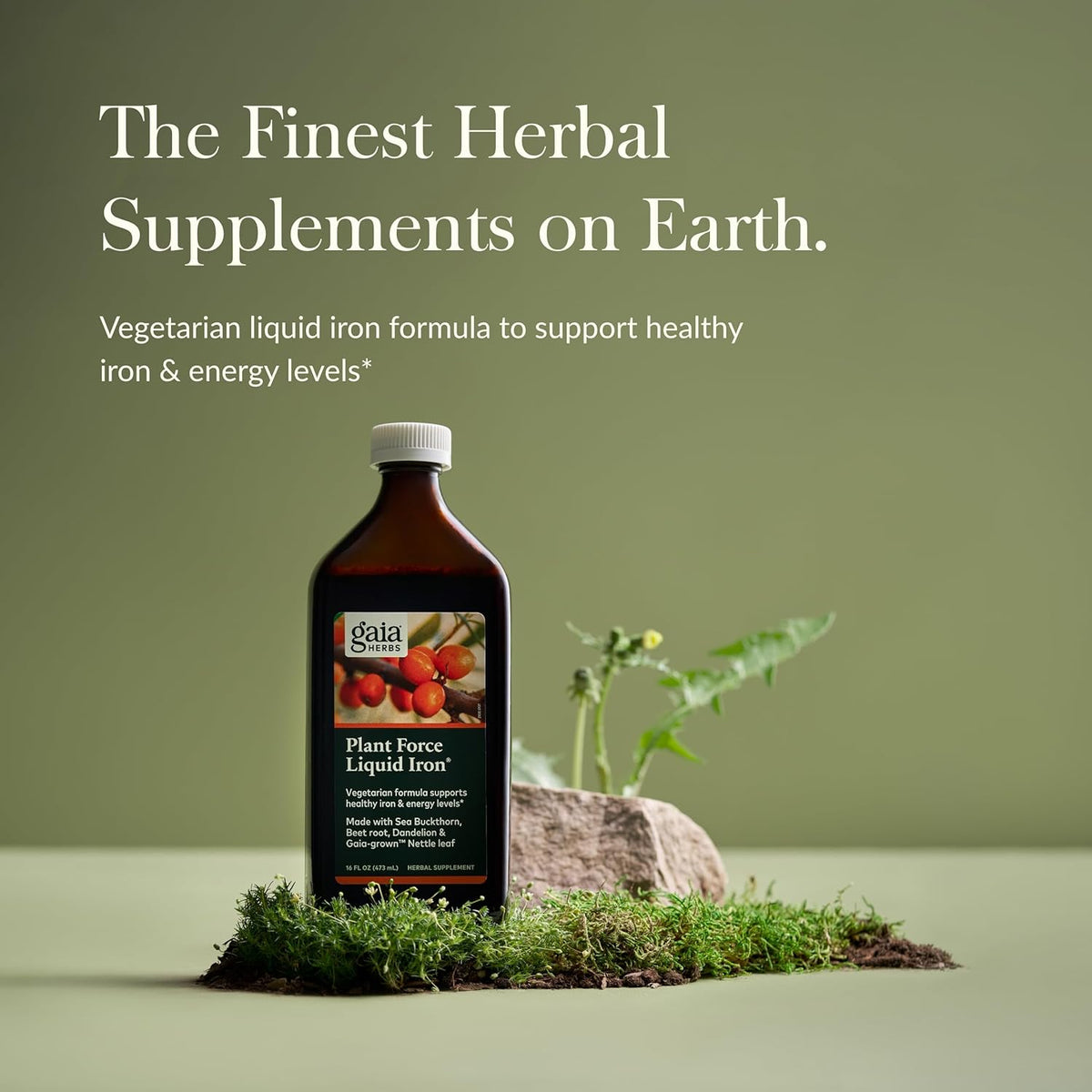 Gaia Herbs Plant Force Liquid Iron - Vegetarian Iron Supplement to Help Maintain Healthy Iron & Energy Levels - with Star Anise, Sea Buckthorn, Beet Root, Dandelion & Nettle - 16 Fl Oz (47 Servings)
