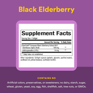 Natural Factors Sambucus Black Elderberry Extract 100 mg, 60 Softgels