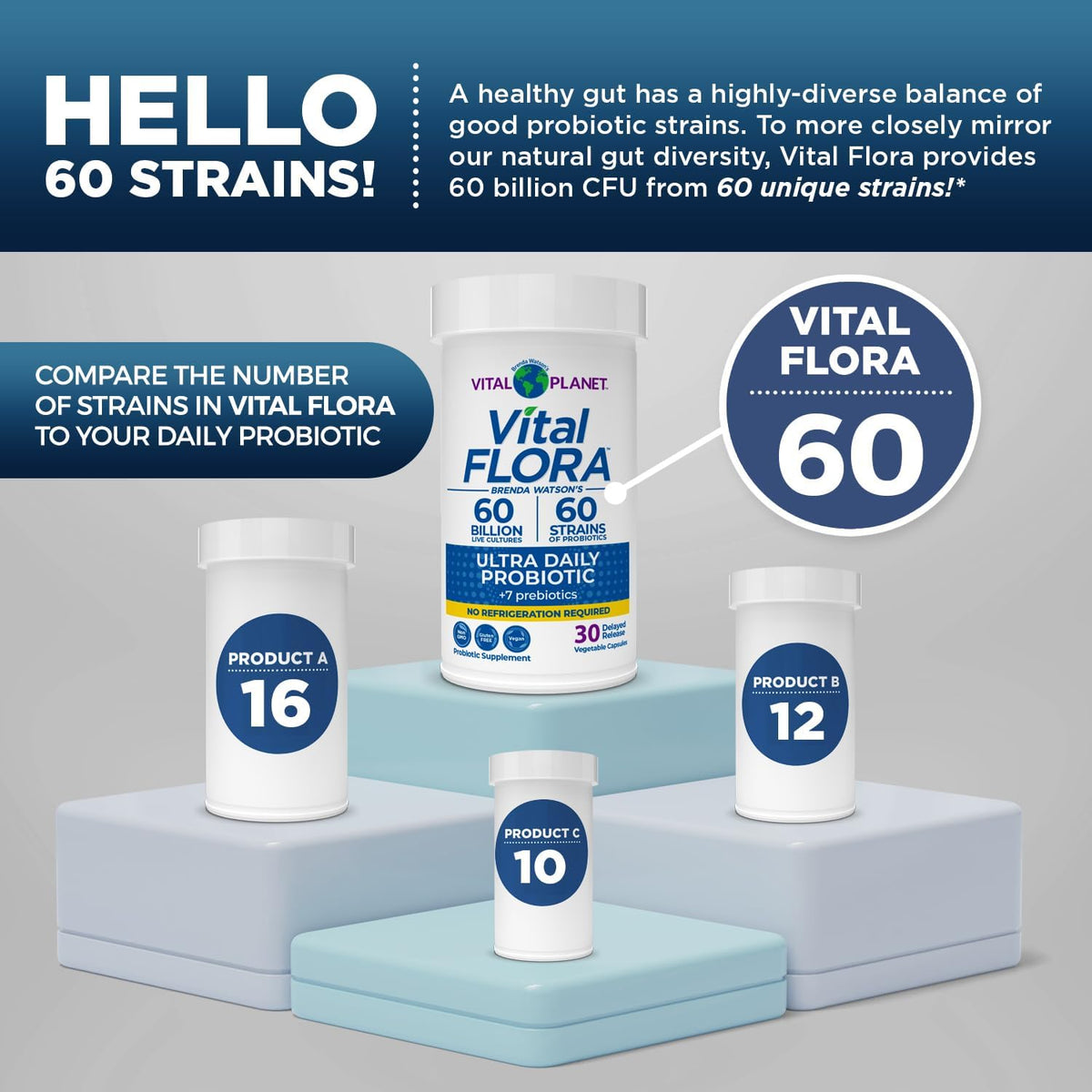 Vital Planet - Vital Flora Ultra Daily Probiotic 60 Billion CFU, 60 Diverse Strains, 7 Organic Prebiotics, Immune Support, Digestive Health Shelf Stable Probiotics for Women and Men 30 Capsules