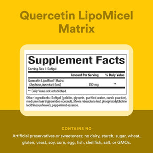 Natural Factors Quercetin LipoMicel Matrix for Superior Absorption, 120 Softgels