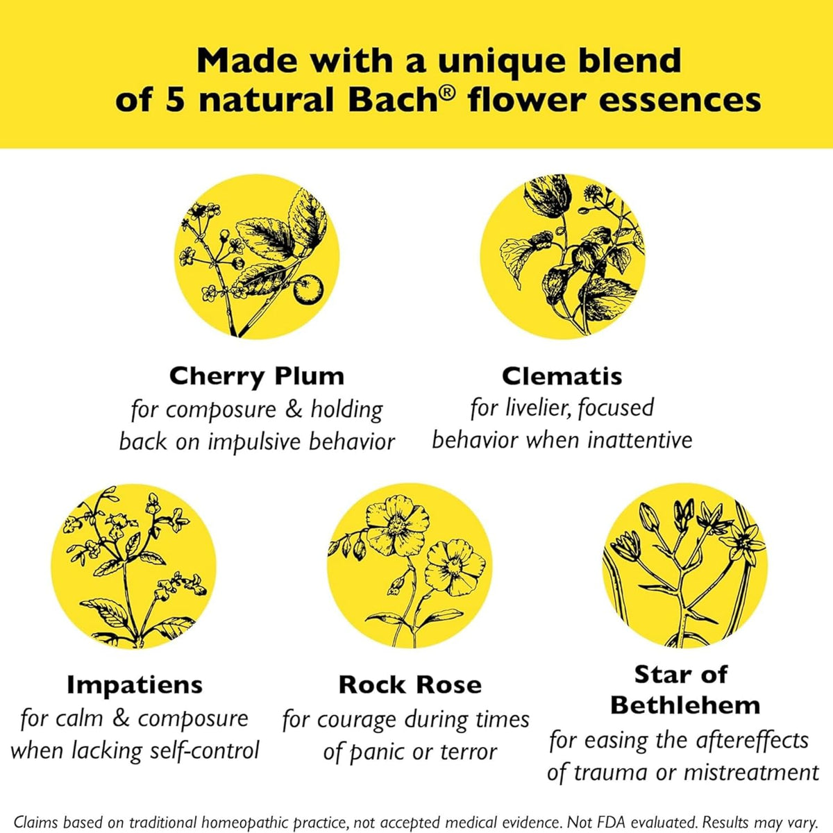 Bach RESCUE REMEDY PET Dropper 10mL, Natural Stress Relief, Calming for Dogs, Cats, & Other Pets, Homeopathic Flower Essence, Thunder, Fireworks, Travel, Separation, Sedative-Free