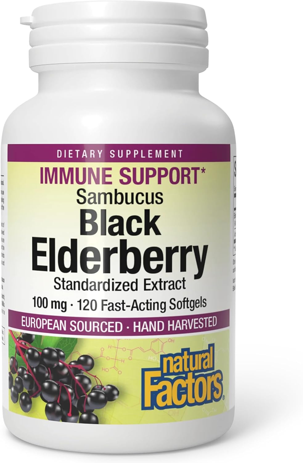 Natural Factors Black Elderberry, 100 mg, 120 Fast-Acting Softgels