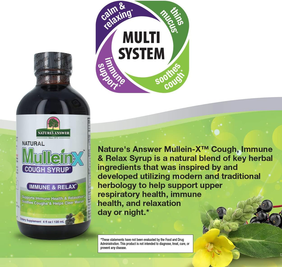 Nature&#39;s Answer Mullein-X Immune &amp; Relax Cough Syrup | 4 Fluid Ounces | Supports Immune &amp; Relaxation | Soothes Cough &amp; Clears Mucus | Non GMO Gluten Free