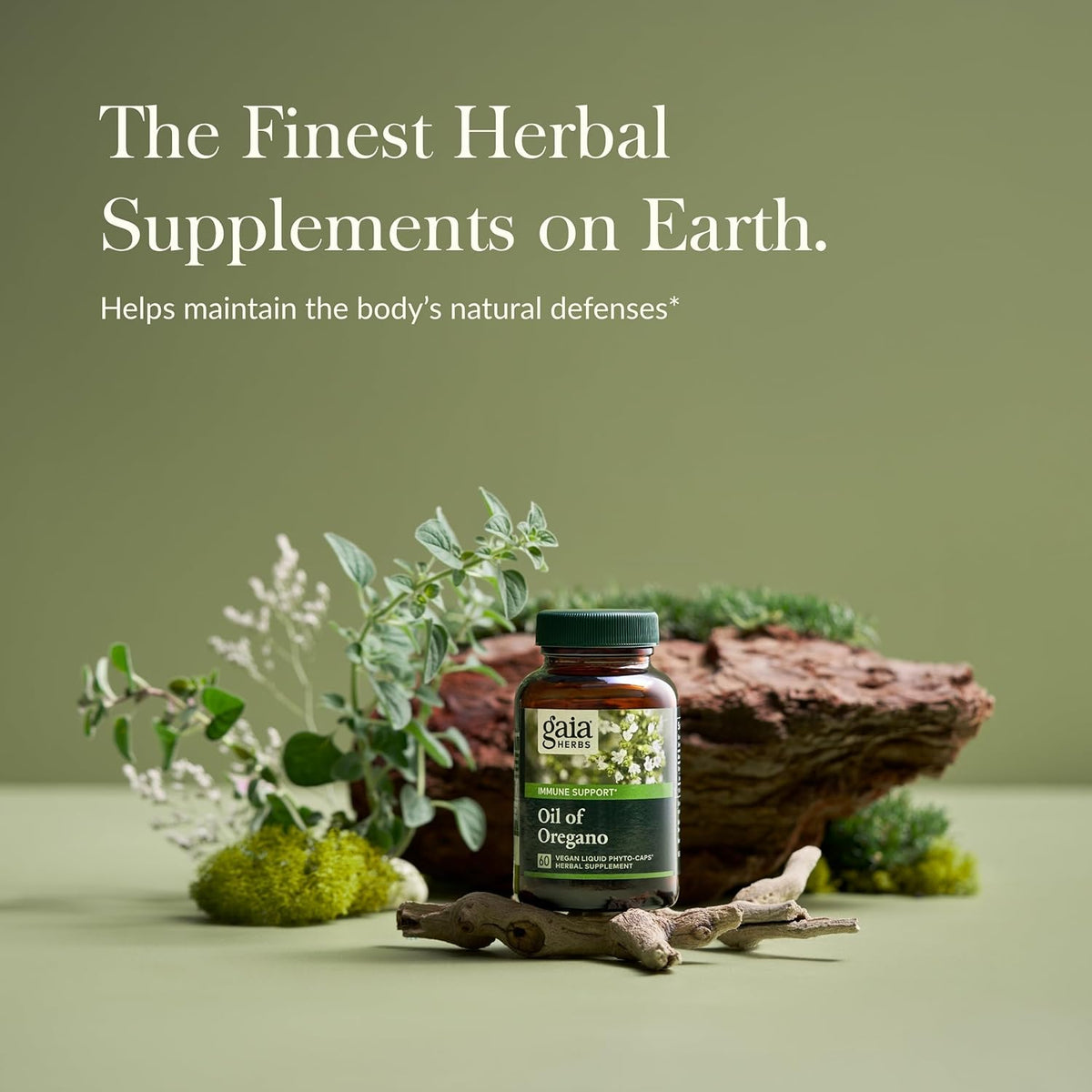 Gaia Herbs Oil of Oregano - Immune and Antioxidant Support Supplement to Help Sustain Overall Well-Being - with Oregano Oil, Carvacrol, and Thymol - 60 Vegan Liquid Phyto-Capsules