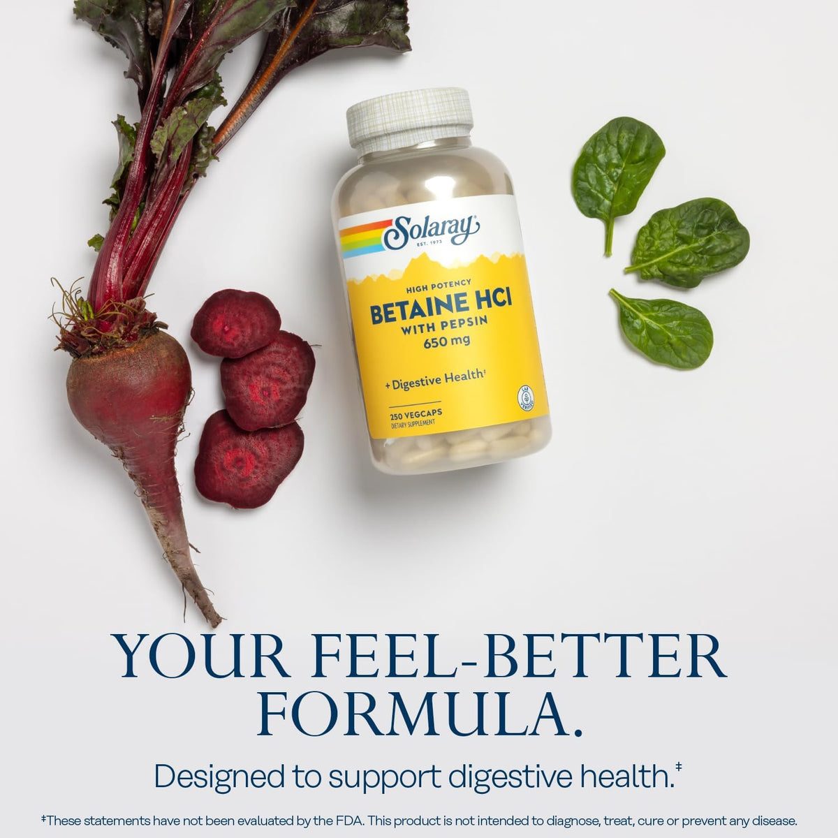 Solaray High Potency Betaine HCL with Pepsin - Hydrochloric Acid Supplement for Digestive Health - with Betaine Hydrochloride and Digestive Enzymes - Gut Health Support - 60-Day Guarantee, 250 VegCaps