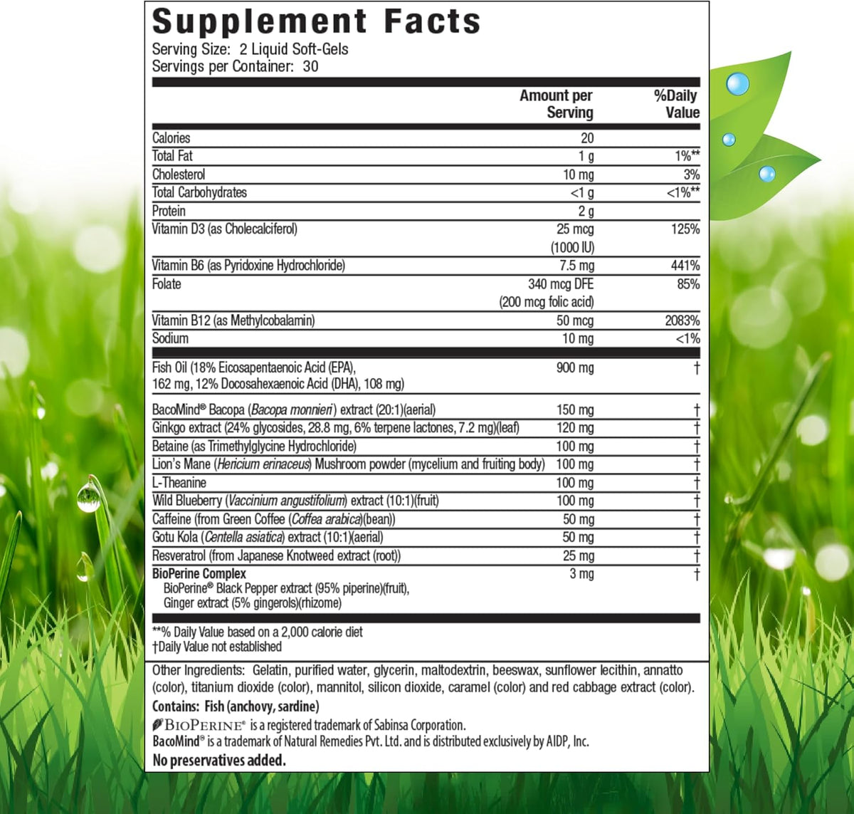 Irwin Naturals Healthy Brain All-Day Focus - 60 Liquid Soft-Gels - Boosts Mental Performance & Promotes Long-Term Brain Health - 30 Servings