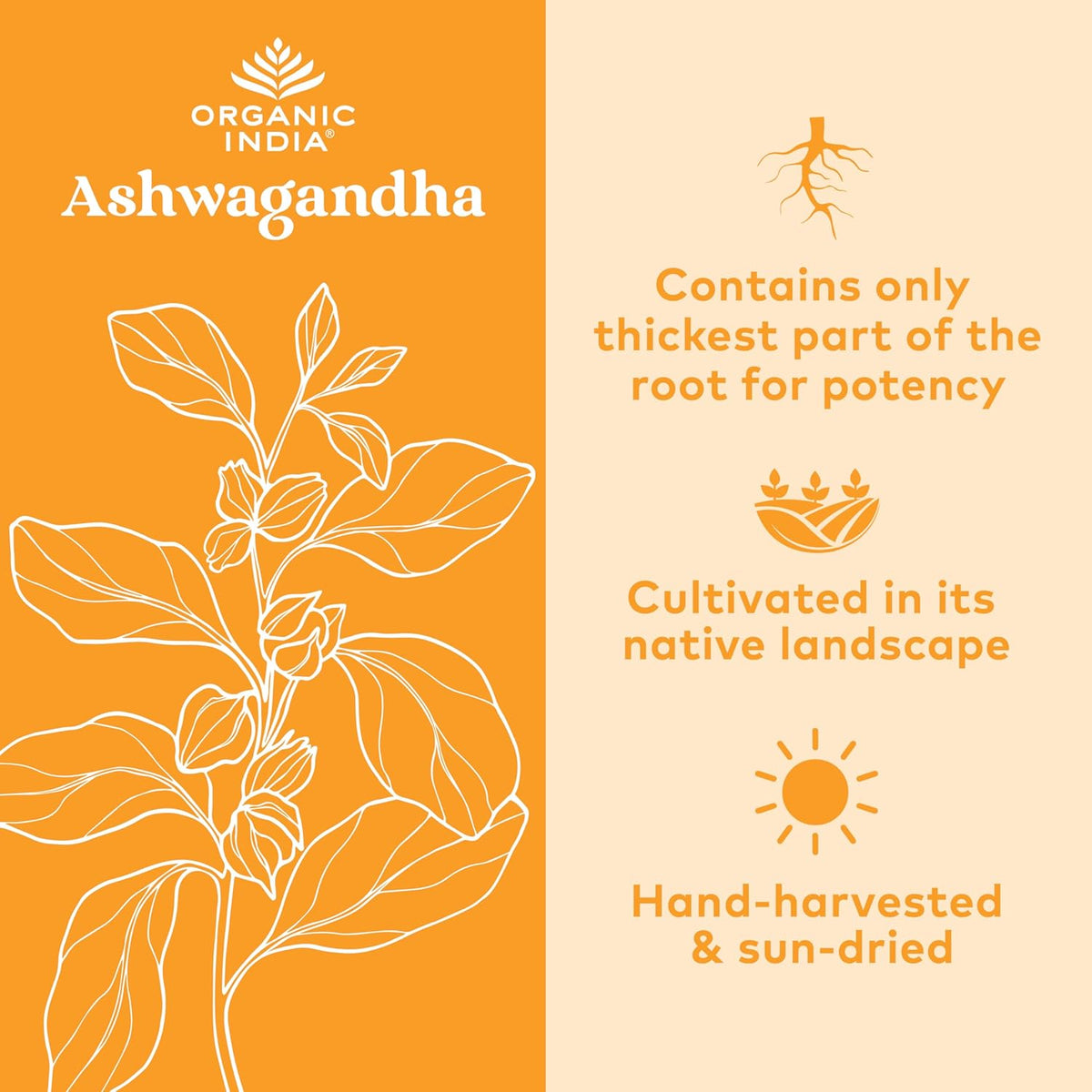ORGANIC INDIA Ashwagandha Powder Organic - Ashwagandha Root Powder Bulk, Herbal Supplement - Vegan, Gluten-Free, Kosher, Non-GMO, Supports Stress Relief, Energy, and Sleep - 1lb Bag