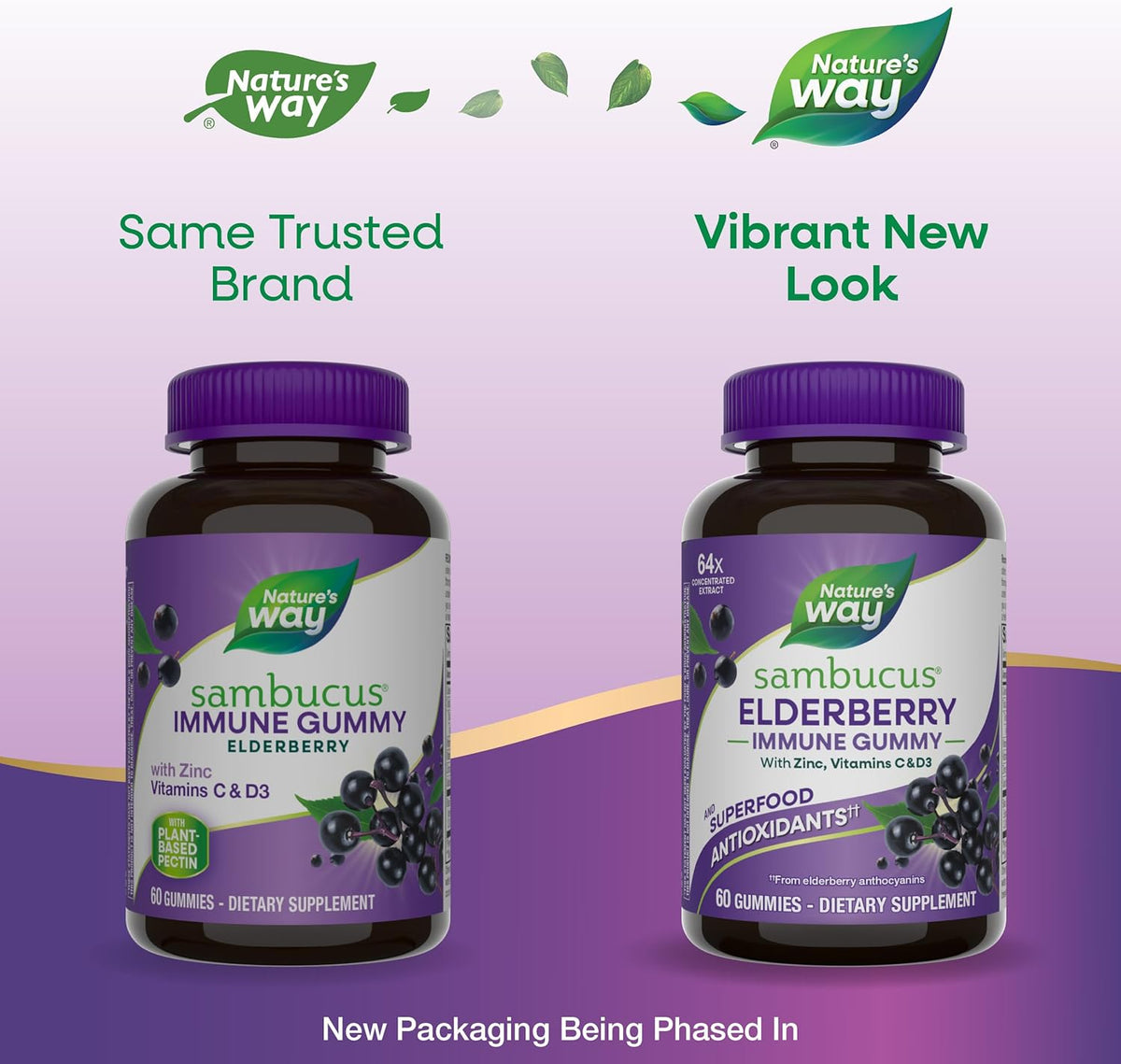 Nature’s Way Sambucus Elderberry Immune Support Gummies for Kids &amp; Adults* with Black Elderberry Extract, Vitamin C, Vitamin D3, and Zinc, 60 Gummies