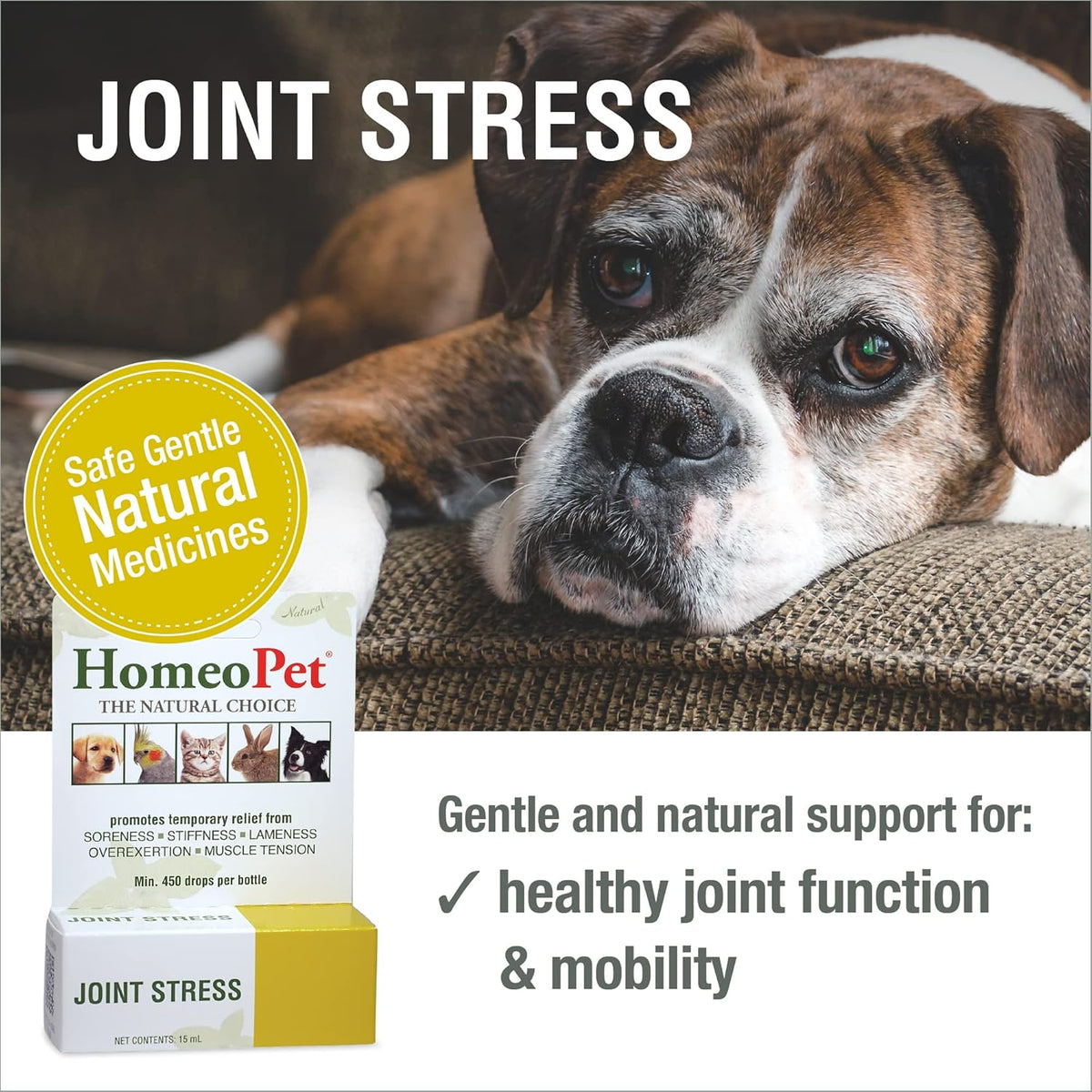 HomeoPet Joint Stress, Joint Support for Dogs and Cats, Liquid Pet Meds to Support Healthy Joint Movement, 15 Milliliters