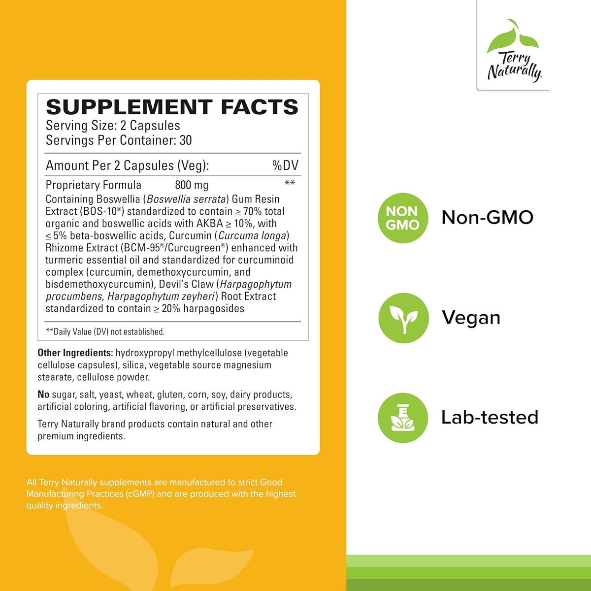 Terry Naturally Arthocin - Boswellia Serrata Capsules with Devil&#39;s Claw &amp; Curcumin - Supplement to Support Joint &amp; Spine Health - Herbal Supplement Aids Comfort &amp; Absorption - 60 Capsules