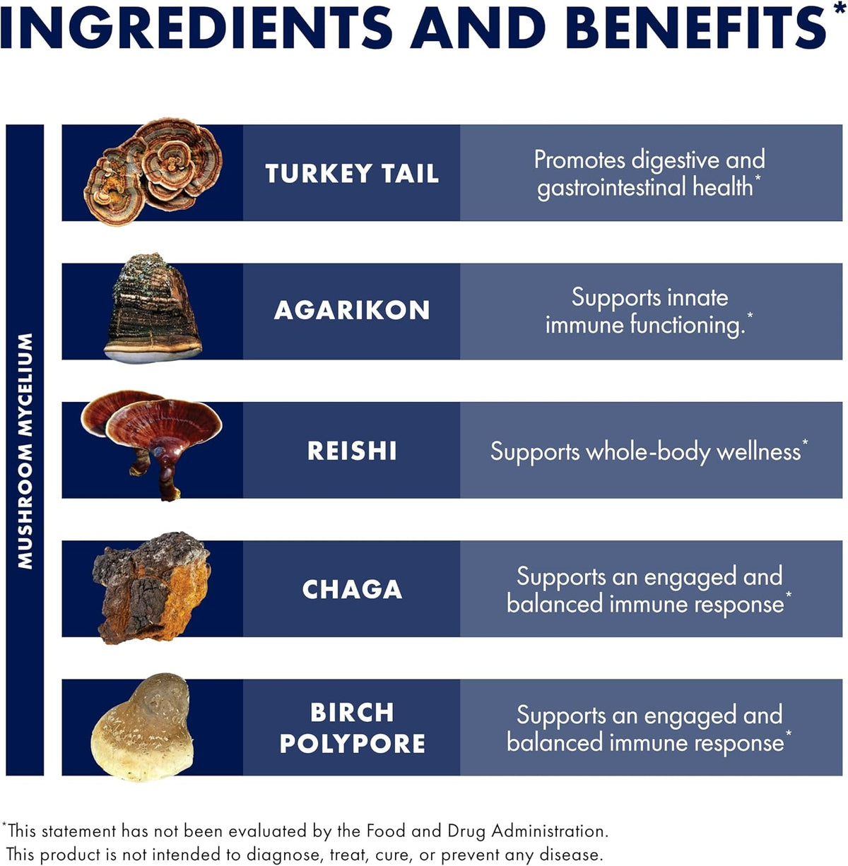 Host Defense MycoShield Throat Spray - Immune Health Support - Dietary Mushroom Supplement with Chaga, Reishi, Turkey Tail & More - On-The-Go Immune Support - Cinnamon Flavor, 1 fl oz (71 Servings)