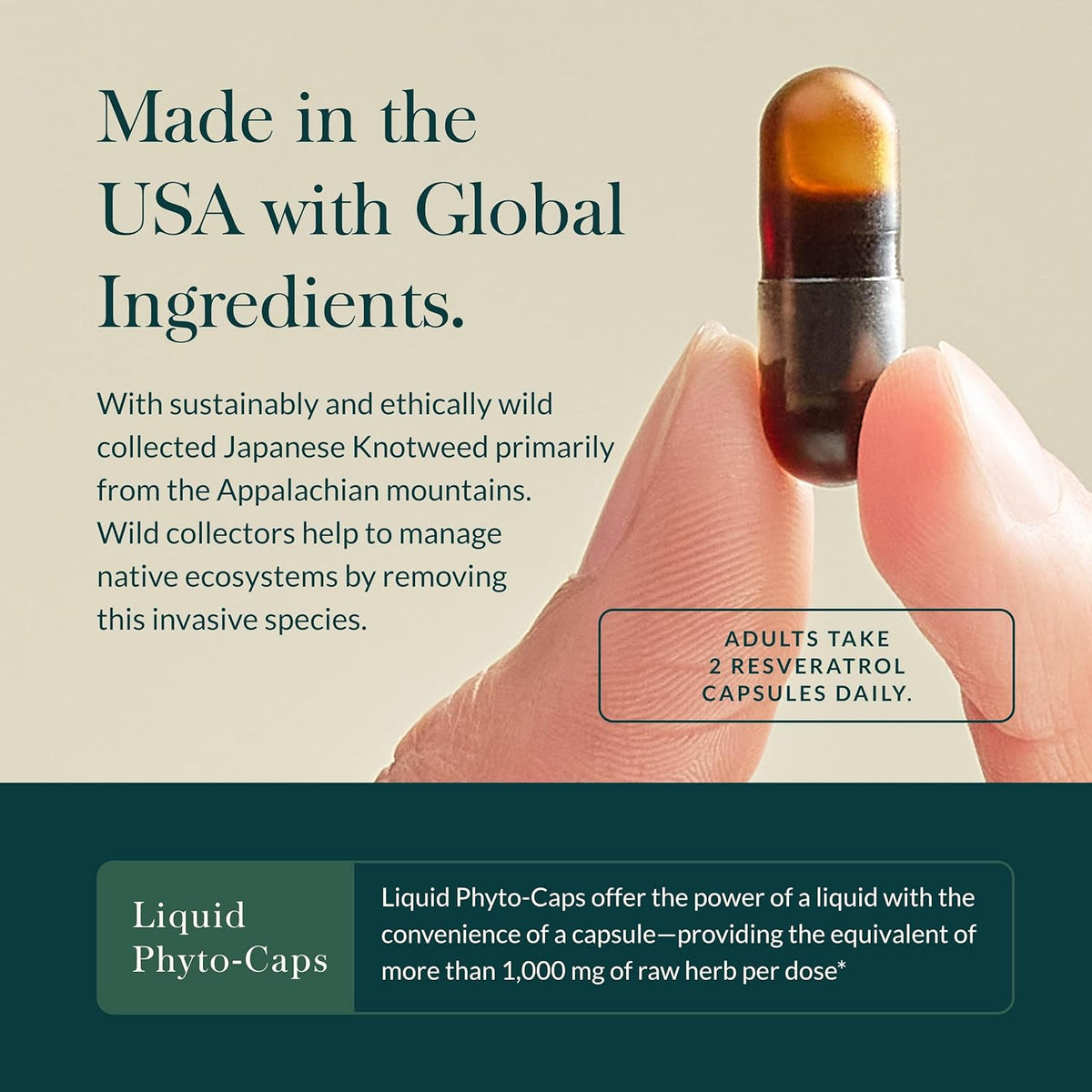 Gaia Herbs Resveratrol 150 - Beauty &amp; Radiance Antioxidant Support Supplement - Made with Japanese Knotweed - Contains 150 mg Trans-Resveratrol per Serving - 50 Liquid Phyto-Capsules (25-Day Supply)