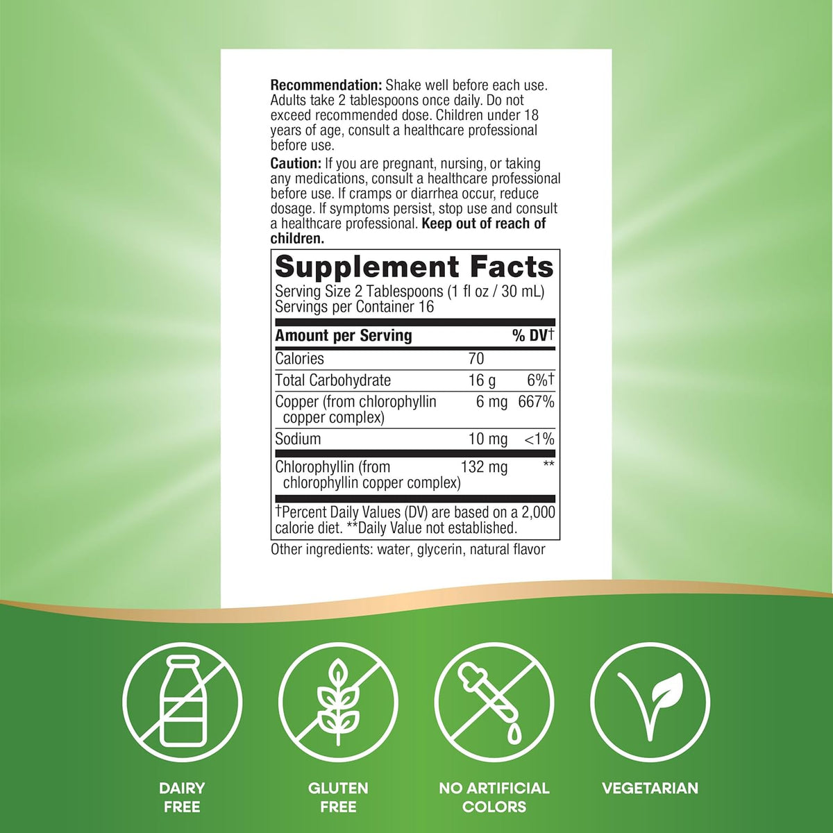 Nature&#39;s Way Chlorofresh, Liquid Chlorophyll, Supports Healthy Skin &amp; Body Detox*, Internal Deodorant*, Supports Liver Detoxification Pathways*, Mint Flavored, 16 Fl. Oz