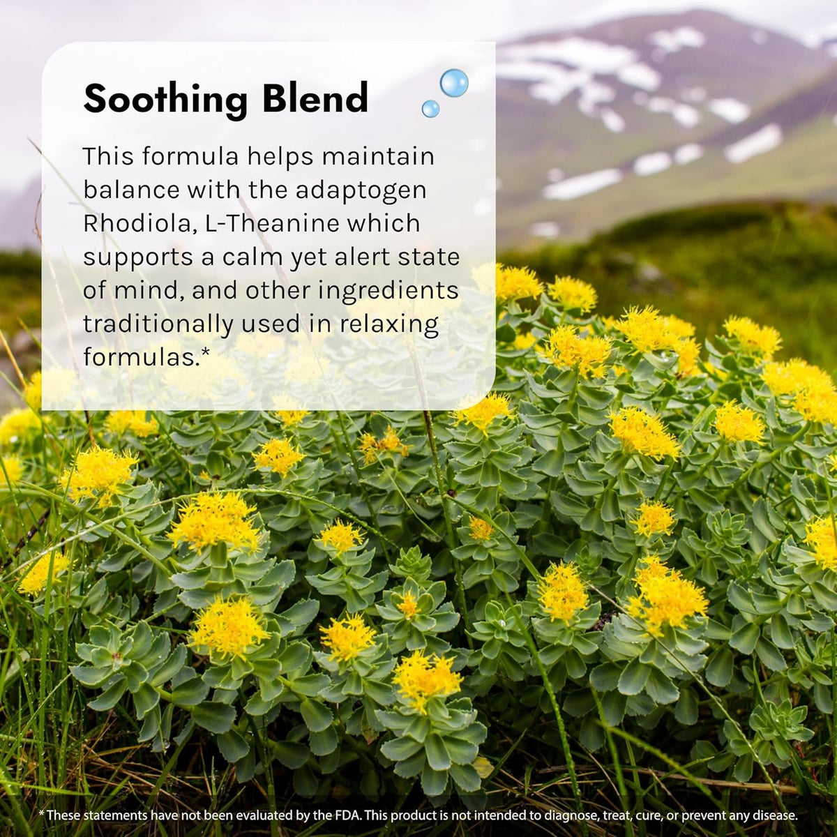 Irwin Naturals Sunny Mood with 5-HTP - 80 Liquid Soft-Gels - Supports Emotional Well-Being &amp; Relaxation - 40 Servings