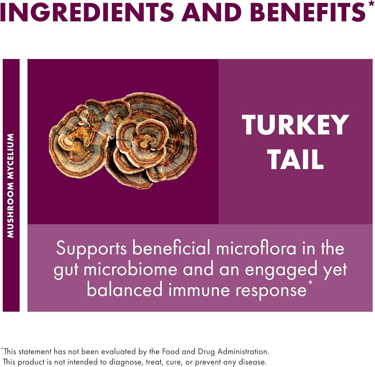 Host Defense Turkey Tail Capsules - Digestive Health & Immune Response Support Supplement - Mushroom Supplement for Gastrointestinal & Gut Microbiome Support - 60 Capsules