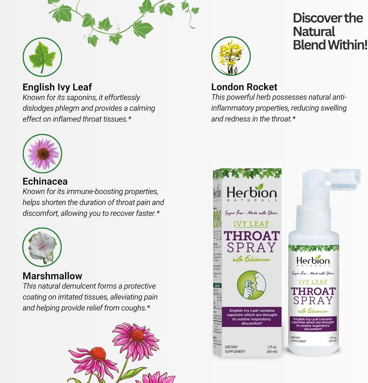HERBION Naturals Throat Spray, Soothes Respiratory Discomfort with The Power of English Ivy, Marshmallow, and Echinacea extracts for Adults and Children, 2 FL Oz (60 ml)