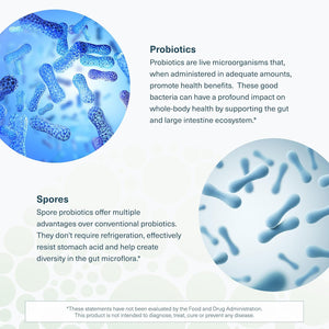 Youtheory Spore Probiotic Powder - Vegan Gut Health Supplement for Men & Women* - 6 Billion CFU - Dairy, Soy & Gluten Free - 3.45 oz