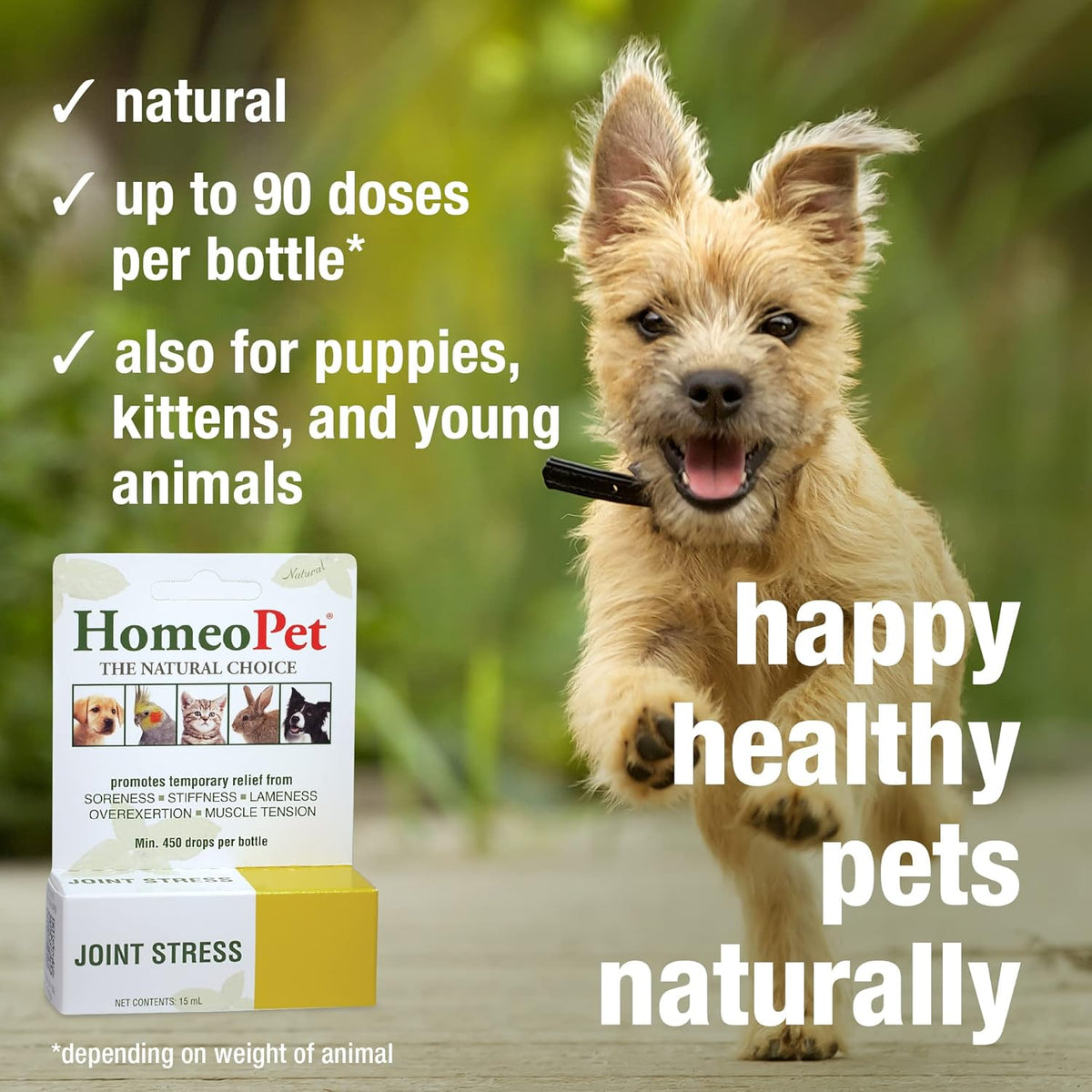 HomeoPet Joint Stress, Joint Support for Dogs and Cats, Liquid Pet Meds to Support Healthy Joint Movement, 15 Milliliters