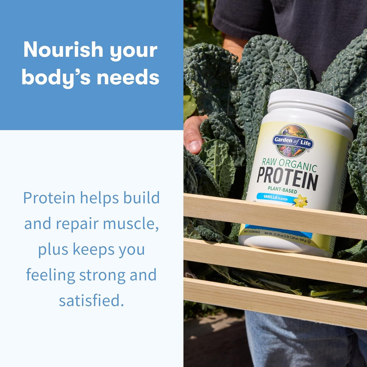 Garden of Life Protein Powder, Vegan Protein Powder, BCAA, Probiotics & Digestive Enzymes, Gluten & Lactose Free, Vanilla, 1.5 LB