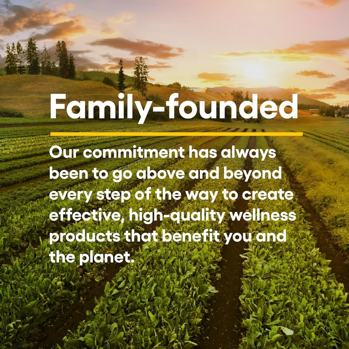 Natural Factors Quercetin LipoMicel Matrix for Superior Absorption, 30 Softgels