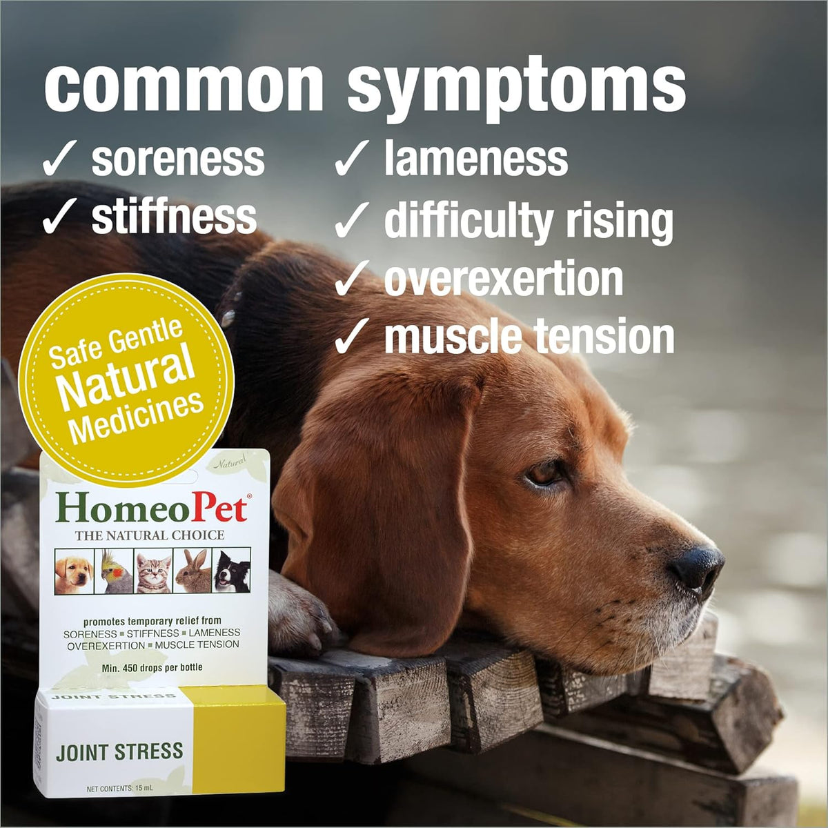 HomeoPet Joint Stress, Joint Support for Dogs and Cats, Liquid Pet Meds to Support Healthy Joint Movement, 15 Milliliters