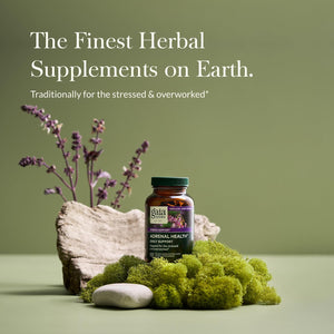 Gaia Herbs Adrenal Health Daily Support - with Ashwagandha, Holy Basil & Schisandra - Herbal Supplement to Help Maintain Healthy Energy & Stress Levels - 120 Vegan Liquid Phyto-Capsules (120 Count)