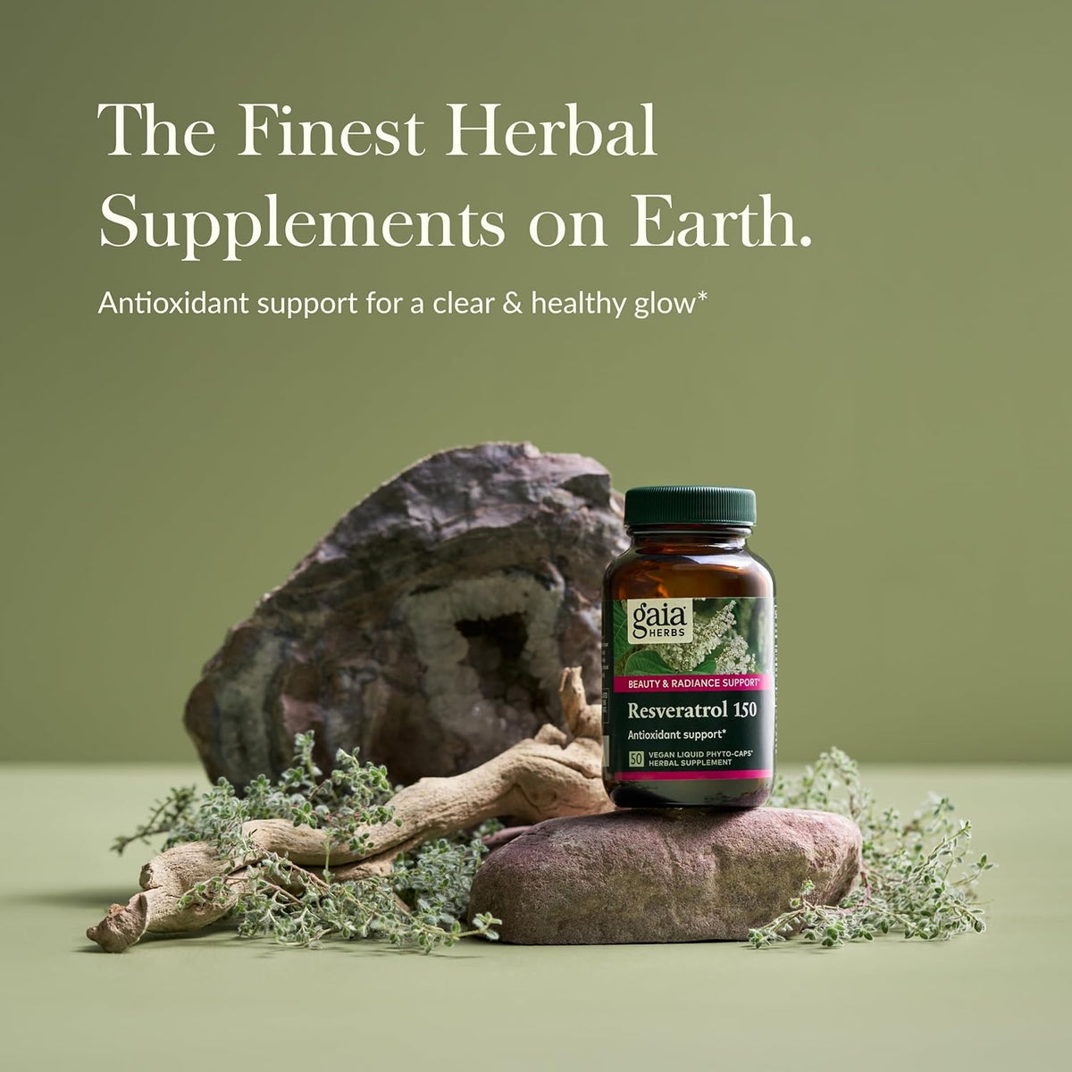 Gaia Herbs Resveratrol 150 - Beauty &amp; Radiance Antioxidant Support Supplement - Made with Japanese Knotweed - Contains 150 mg Trans-Resveratrol per Serving - 50 Liquid Phyto-Capsules (25-Day Supply)