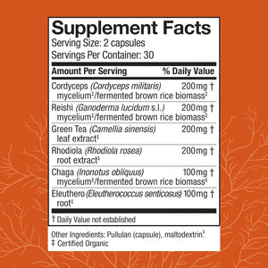 Host Defense MycoBotanicals Energy* Capsules - Energy & Respiratory Support Supplement - Herbal Green Tea Capsules - Respiratory Supplement with Cordyceps, Reishi & Chaga - 60 Capsules (30 Servings)