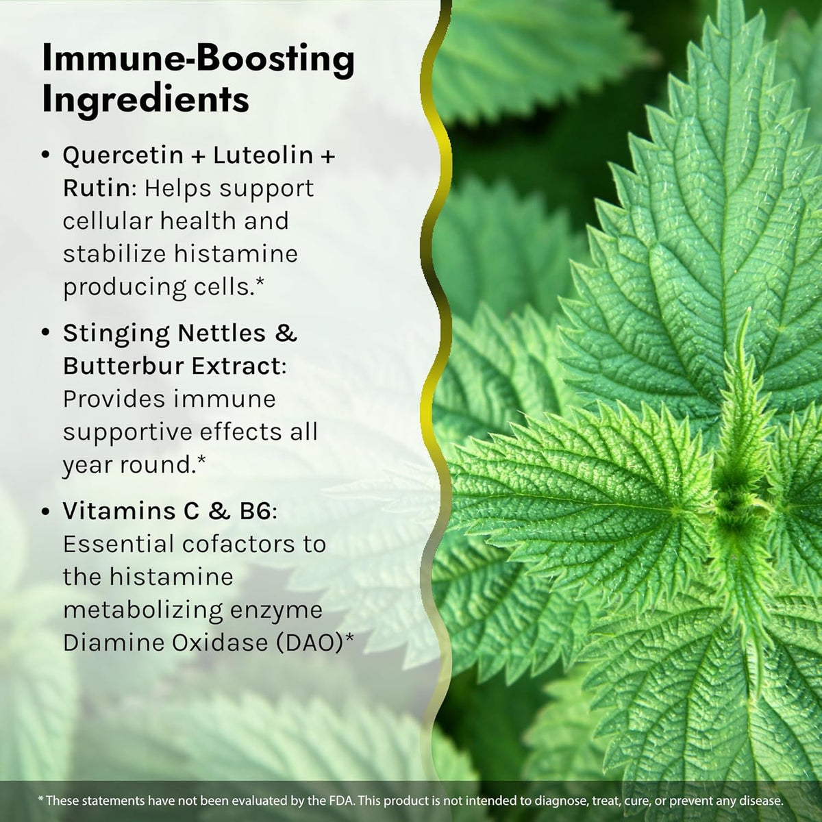 Irwin Naturals Aller-Pure - 54 Liquid Soft-Gels - Histamine Support with Quercetin, Luteolin &amp; Rutin - Non-Drowsy Formula