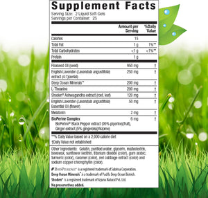 Irwin Naturals Stress-Defy Sleep PM - 50 Liquid Soft-Gels - Powerful 2-in-1 Combination with Ashwagandha & Melatonin - 25 Servings