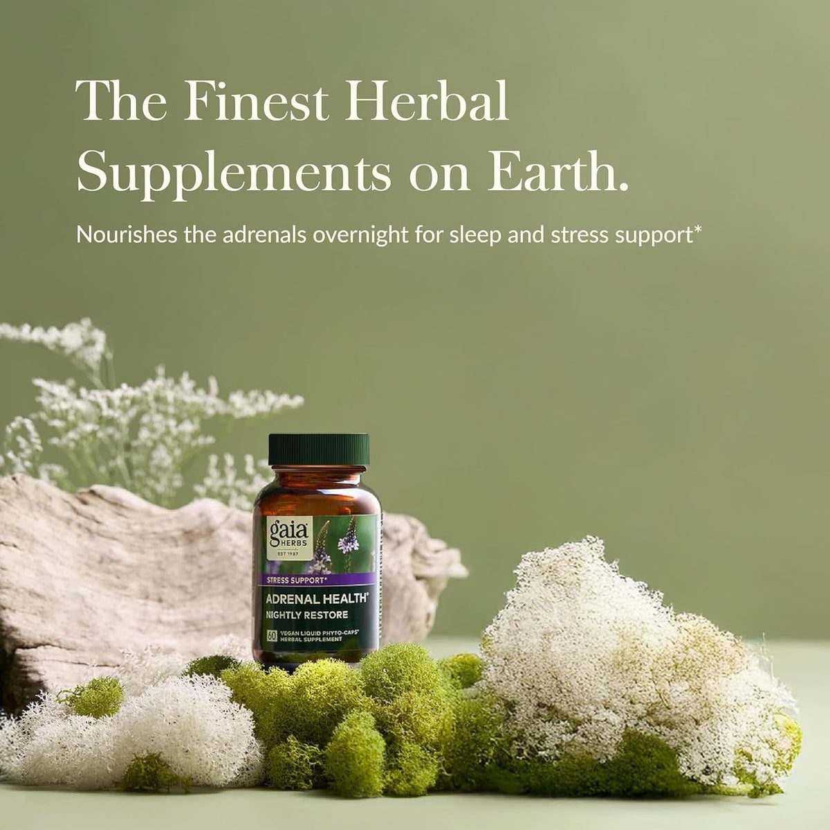 Gaia Herbs Adrenal Health Nightly Restore - Herbal Supplement with Ashwagandha, Magnolia Bark, Cordyceps, Lemon Balm, and More - 60 Vegan Liquid Phyto-Capsules