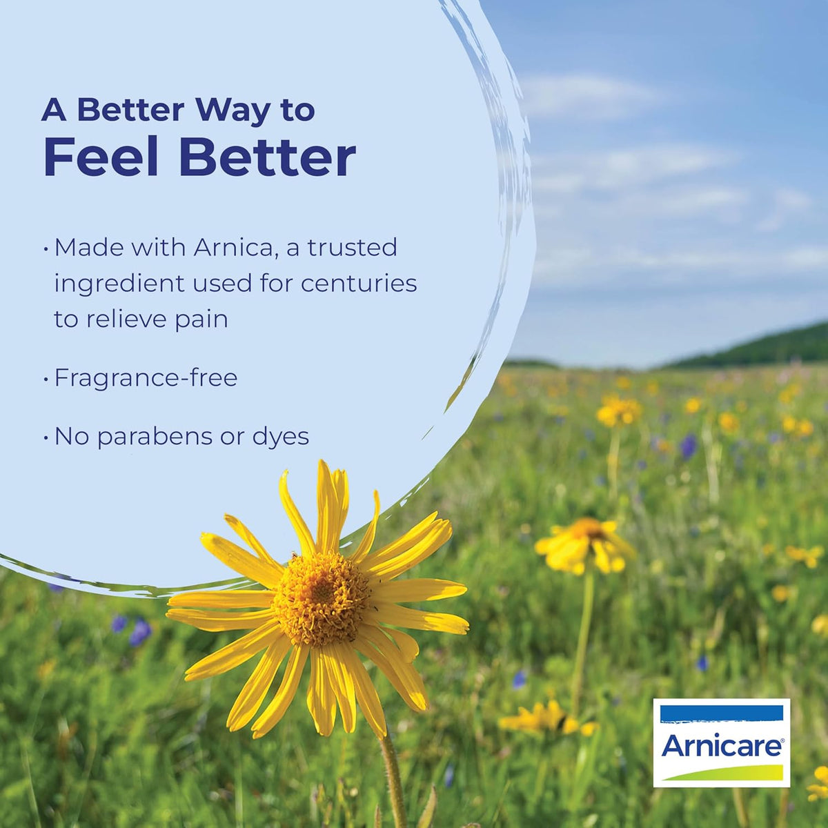 Boiron Arnicare Cream Natural Soothing Relief for Joint Pain, Muscle Pain, Inflammation, Soreness, and Bruises - Fast Absorbing and Fragrance-Free - 4.2 oz