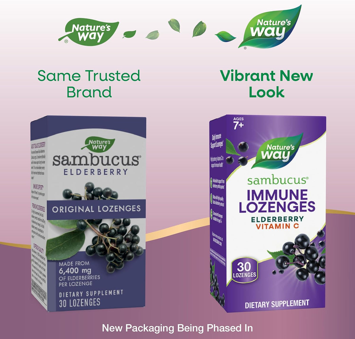 Nature's Way Sambucus Immune Lozenges, with Vitamin C, Black Elderberry Extract, Immune Support*, 30 Lozenges
