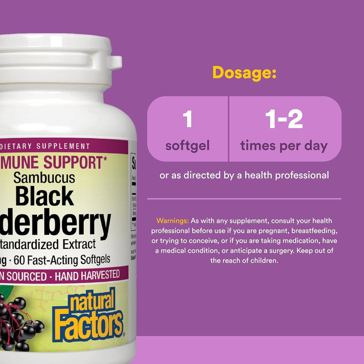 Natural Factors Sambucus Black Elderberry Extract 100 mg, 60 Softgels