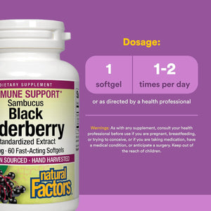 Natural Factors Sambucus Black Elderberry Extract 100 mg, 60 Softgels