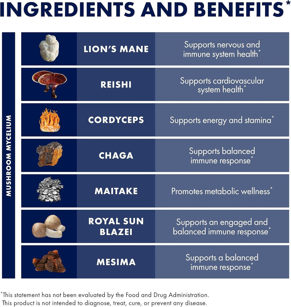 Host Defense Stamets 7 Extract - 7 Species Blend - Mushroom Supplement for Immune Support with Royal Sun Blazei, Cordyceps, Reishi, Maitake, Lion's Mane, Chaga & Mesima - 1 fl oz (30 Servings)