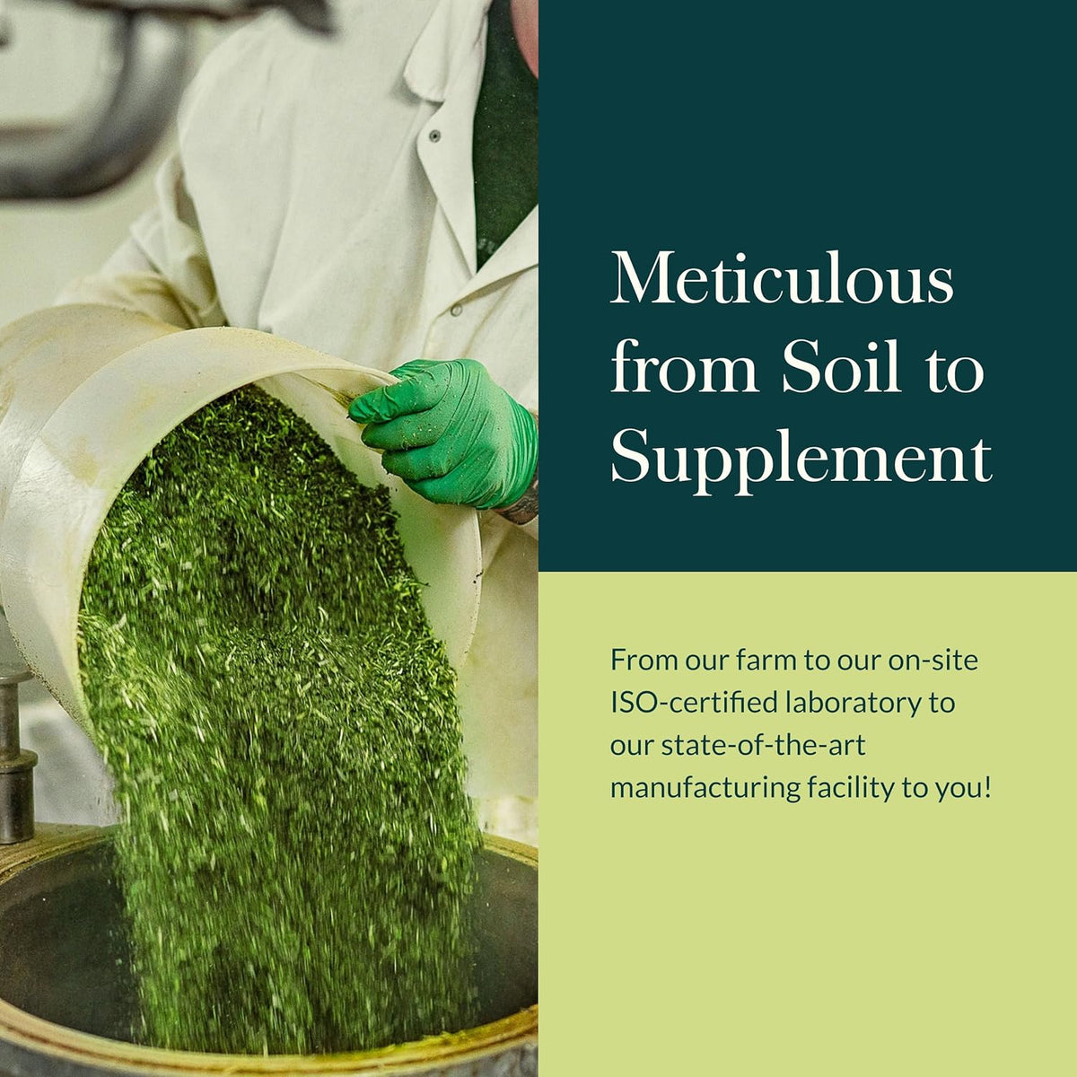Gaia Herbs Ashwagandha Root - Made with Organic Ashwagandha Root to Help Support a Healthy Response to Stress, the Immune System, and Restful Sleep - 60 Vegan Liquid Phyto-Capsules