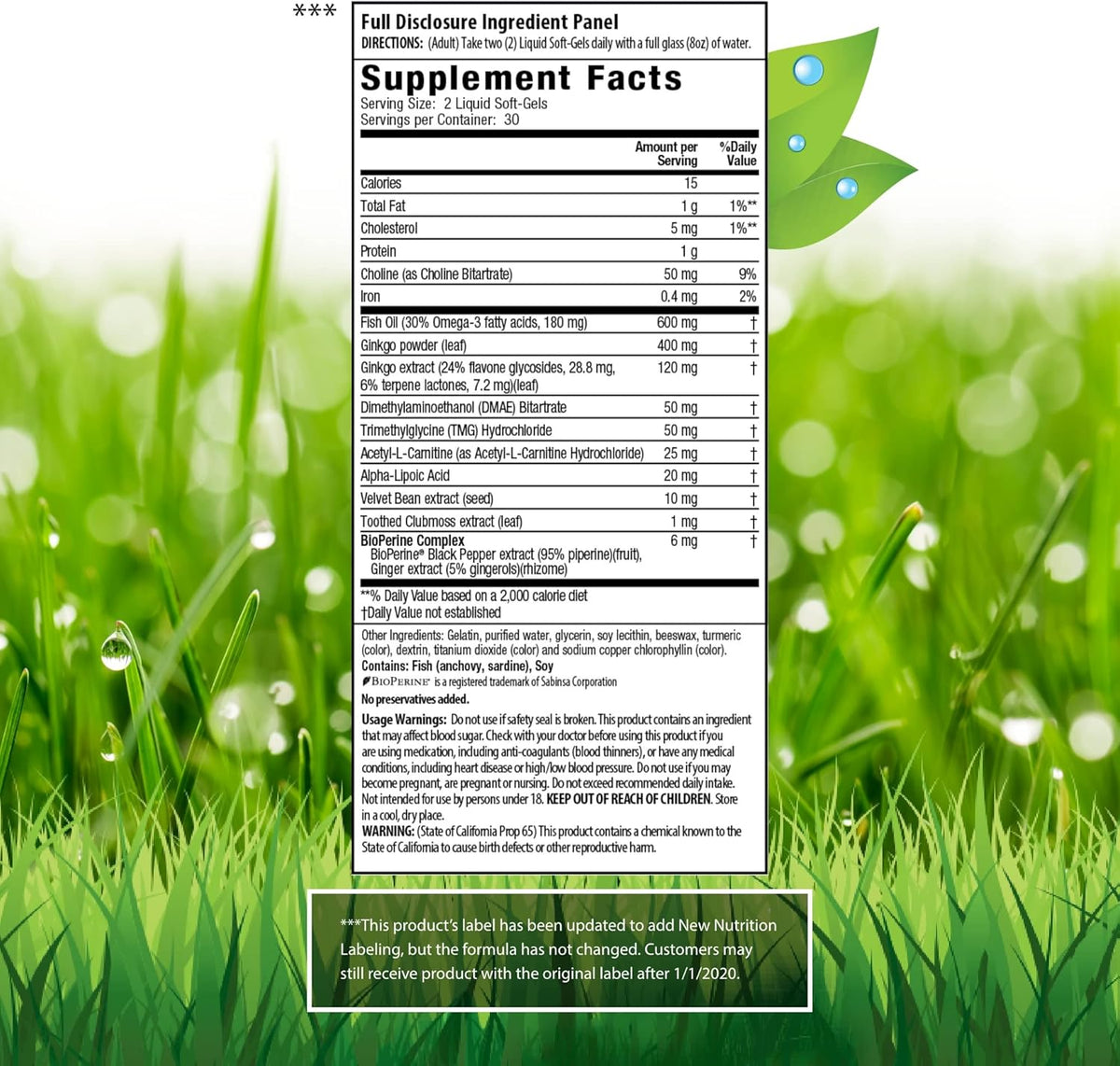 Irwin Naturals Ginkgo Smart Powerful Nootropic Brain Booster - Supports Maximum Memory, Focus &amp; Mental Clarity with DMAE, Clubmoss, Choline &amp; Acetyl L-Carnitine - 60 Liquid Softgels