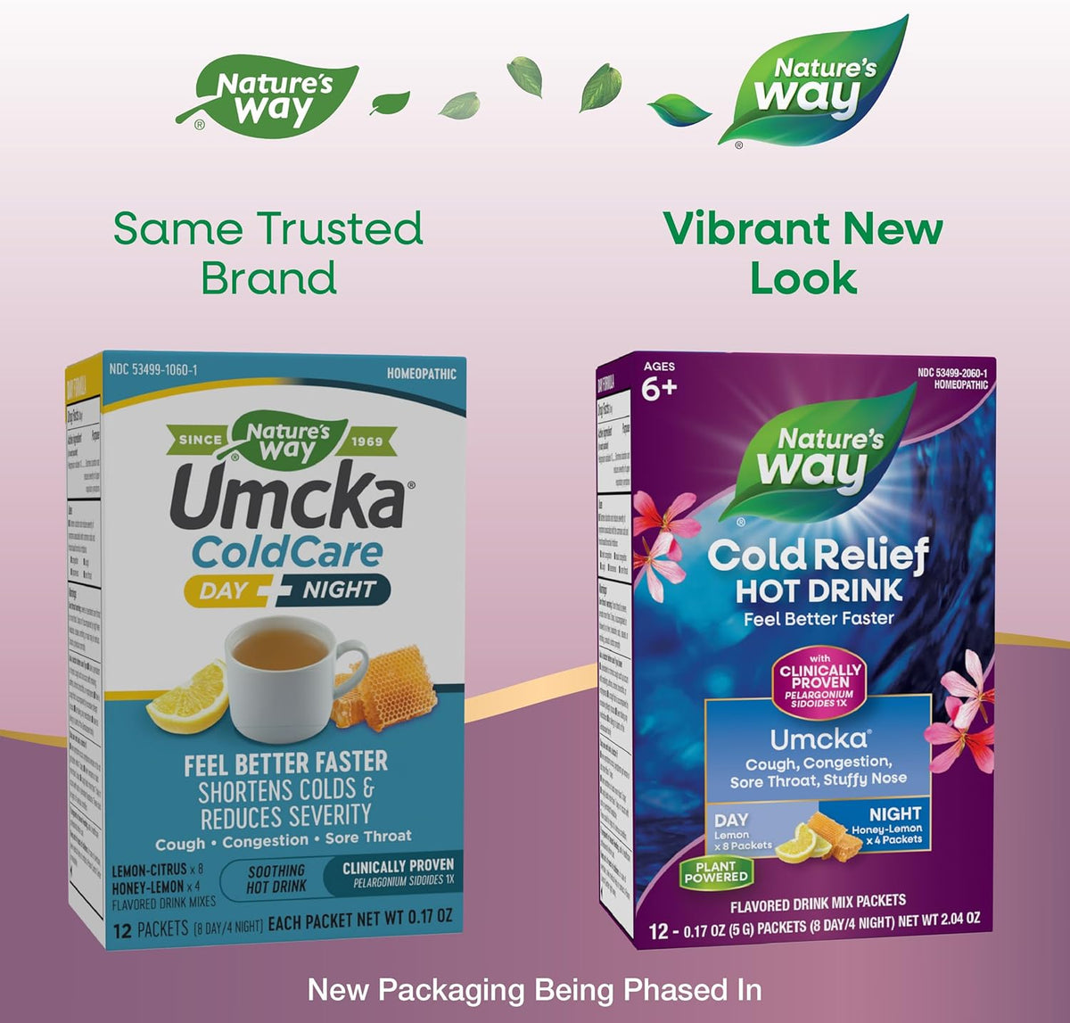Nature&#39;s Way Cold Relief Hot Drink, Umcka, Homeopathic, Clinically Proven Pelargonium Sidoides 1X, for Cough, Congestion, Sore Throat, Stuffy Nose, Day &amp; Night Formula, 12 Packets