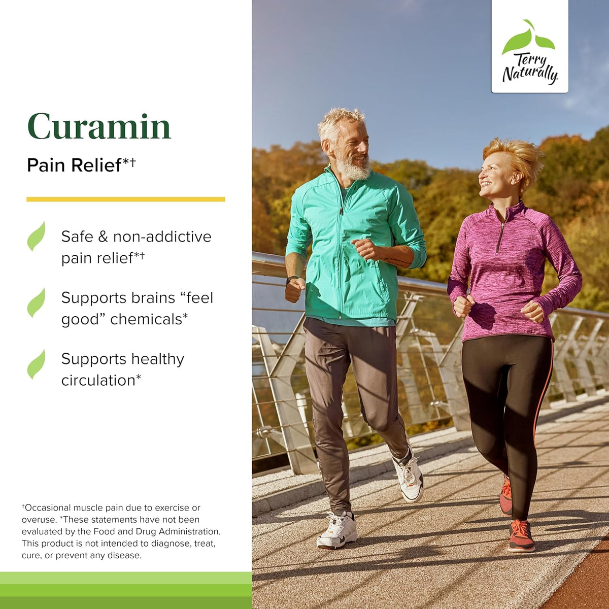Terry Naturally Curamin - Curcumin Supplement for Circulation &amp; Endorphin Support - Support for Occasional Discomfort - Aids Healthy Muscles - 21 Capsules
