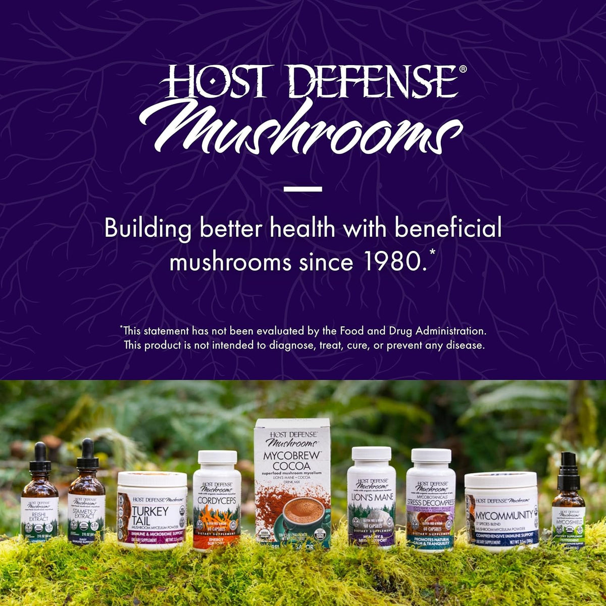 Host Defense MycoBrew Matcha - Matcha Drink Mix - Matcha Green Tea Powder that Includes Lion&#39;s Mushroom - Drink Mix with Organic Matcha Tea - 10 Packets (10 Servings)