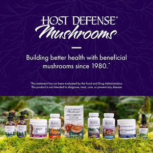 Host Defense MycoBrew Matcha - Matcha Drink Mix - Matcha Green Tea Powder that Includes Lion's Mushroom - Drink Mix with Organic Matcha Tea - 10 Packets (10 Servings)