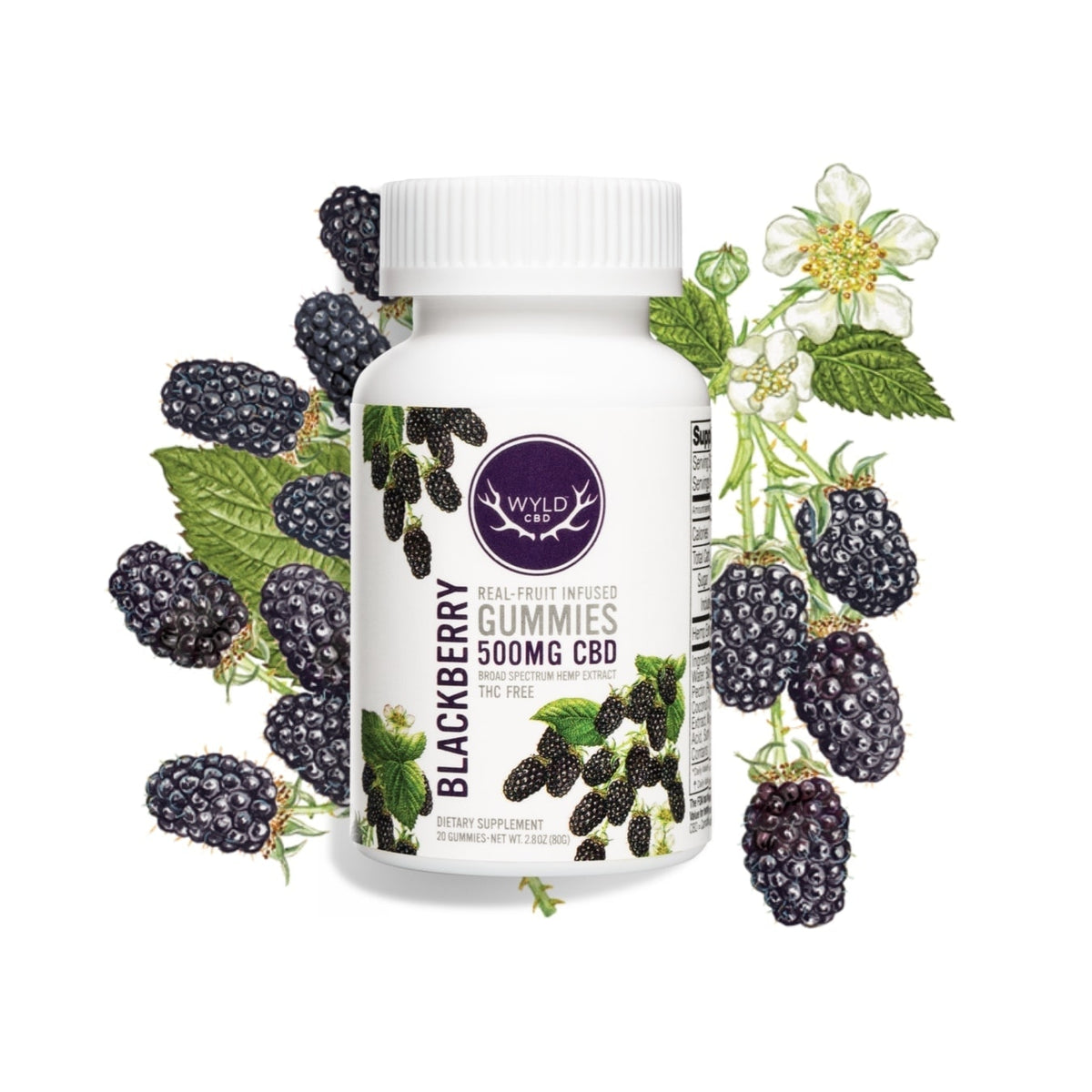 Wyld CBD Blackberry Gummies | 500MG
