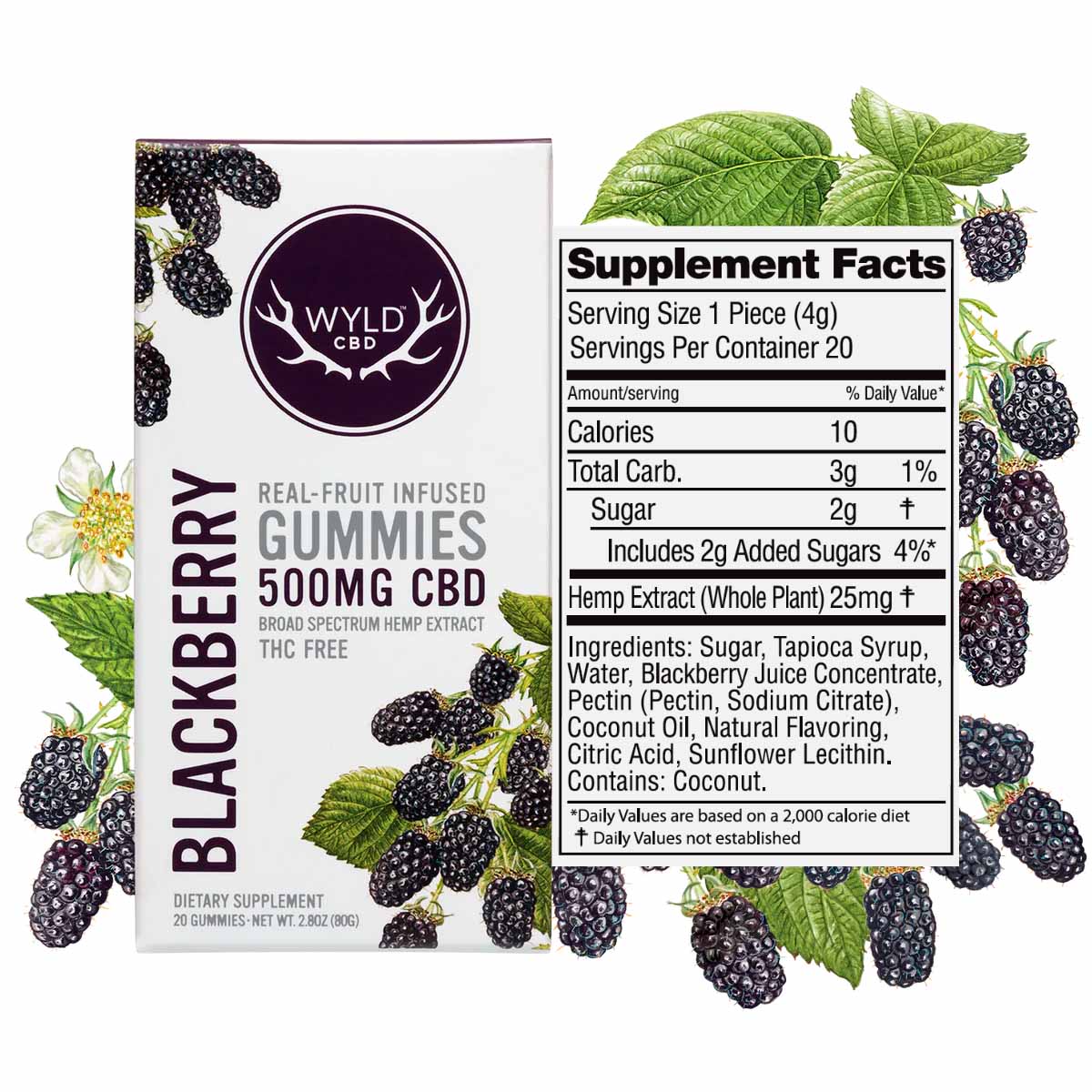 Wyld CBD Blackberry Gummies | 500MG