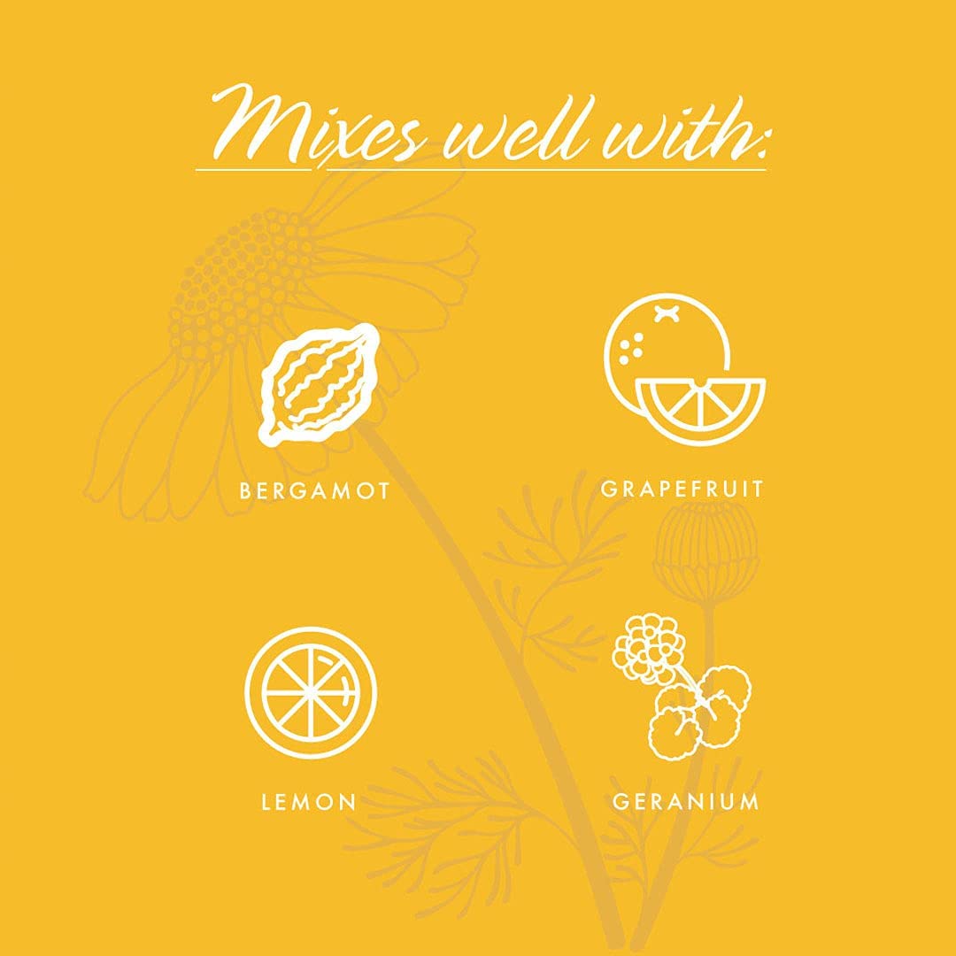 NOW Essential Oils Chamomile, 10 mL